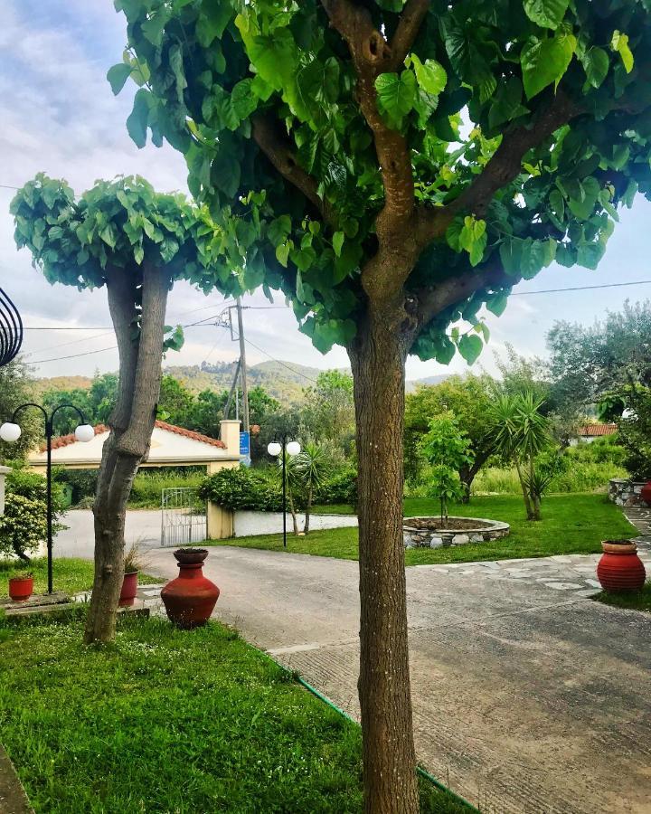 Pansion Episkopi Studios Skopelos Extérieur photo