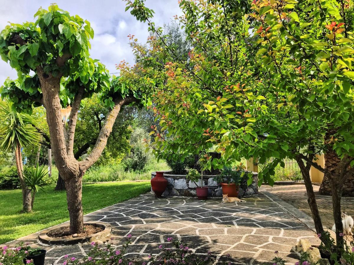 Pansion Episkopi Studios Skopelos Extérieur photo