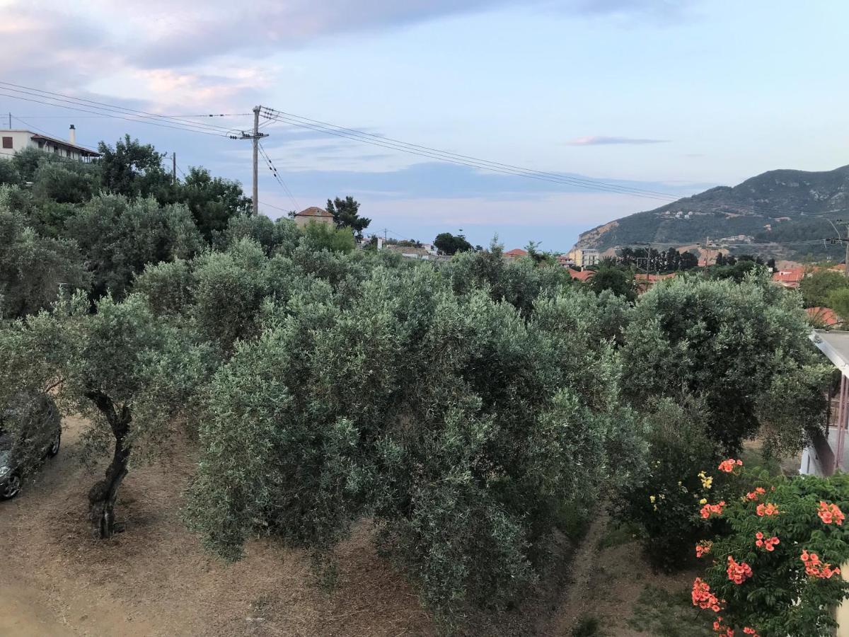 Pansion Episkopi Studios Skopelos Extérieur photo