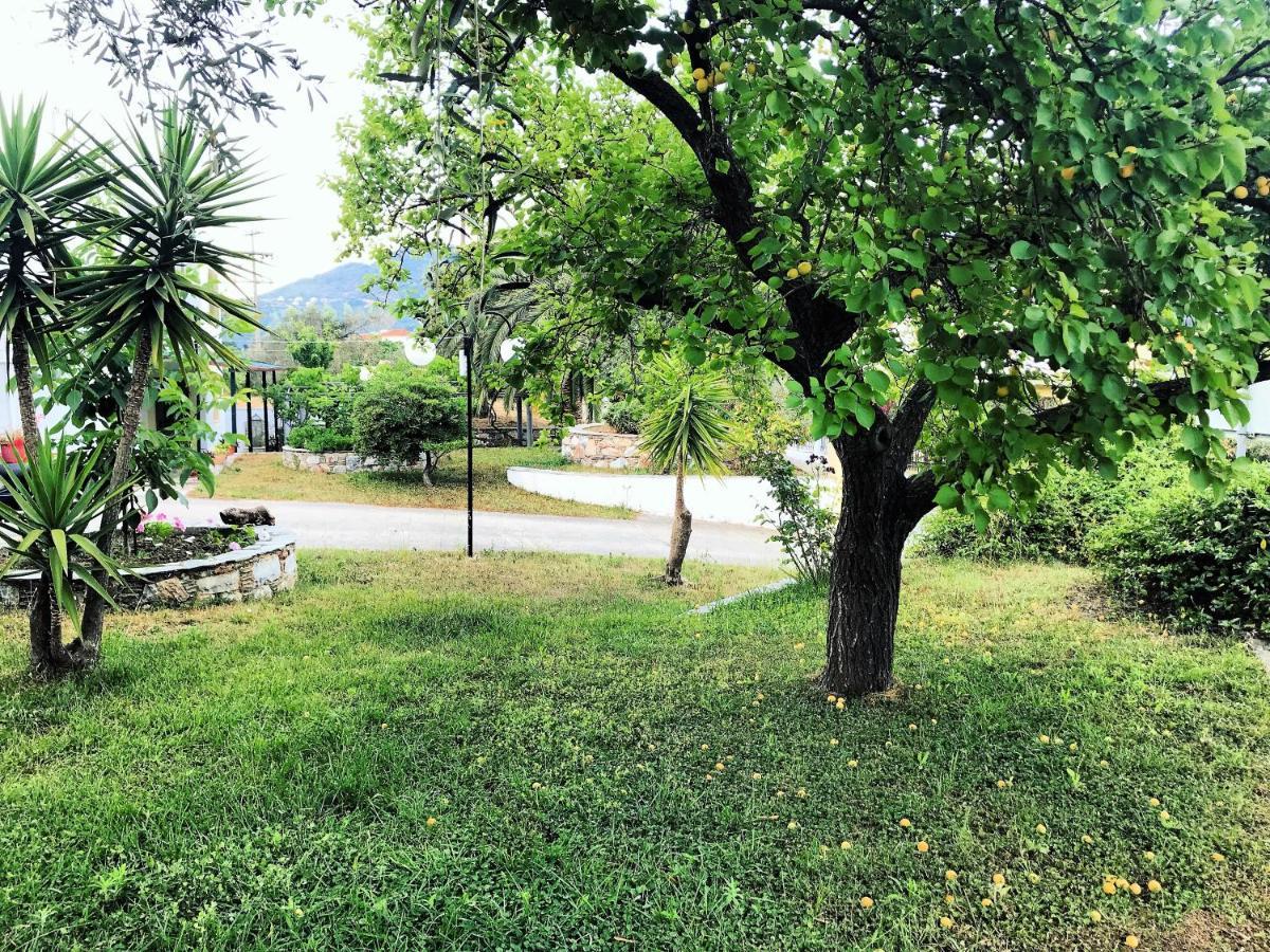 Pansion Episkopi Studios Skopelos Extérieur photo