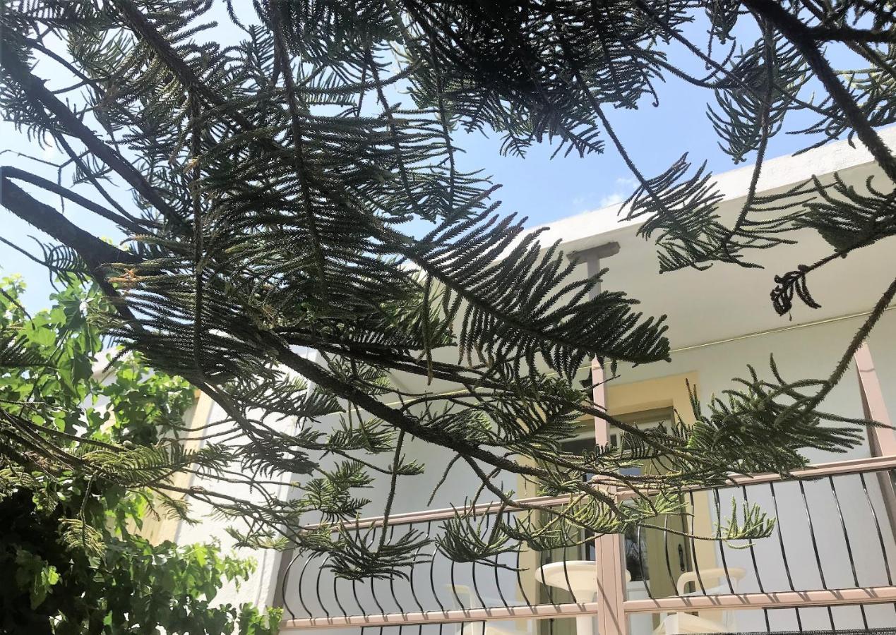 Pansion Episkopi Studios Skopelos Extérieur photo
