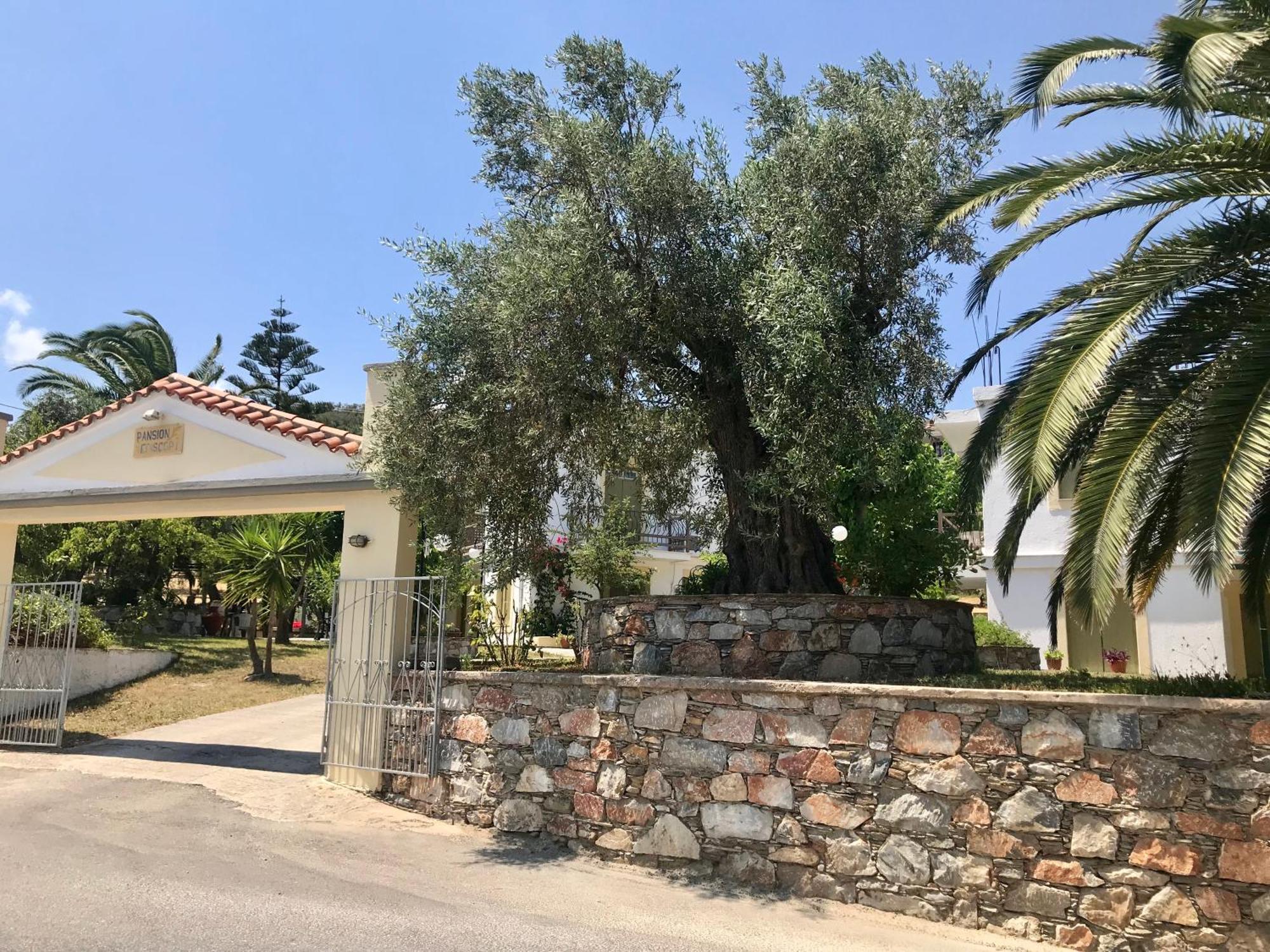 Pansion Episkopi Studios Skopelos Extérieur photo